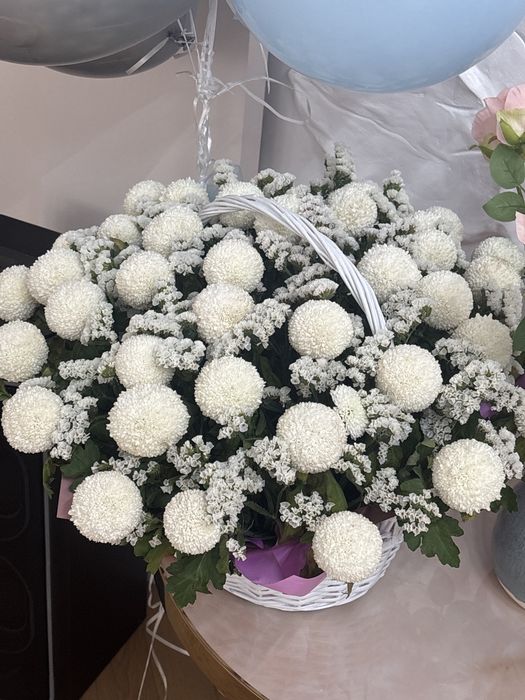 Цветы мокко алматы 40 брали