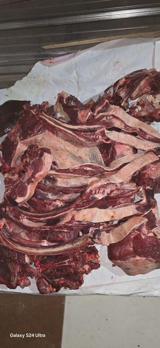 Мясо Конины, молодое