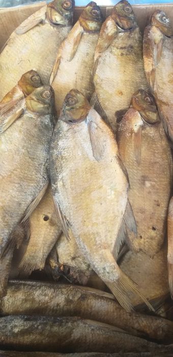 Рыба лещ холодного копчения, вяленый.