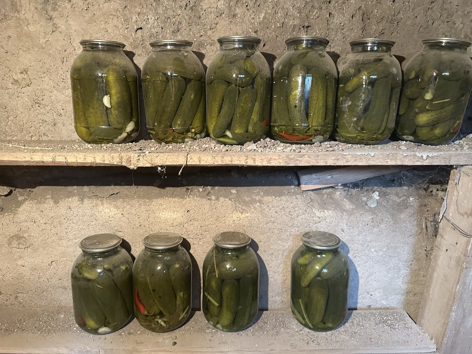 маринованные огурцы домашние