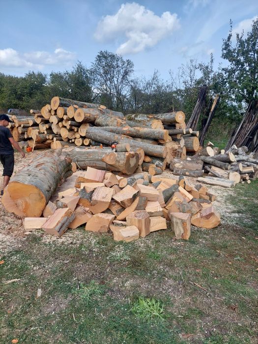 Depozit Vindem Lemn De foc În Jud Cluj