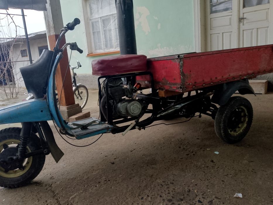 Муравей Тула СССР