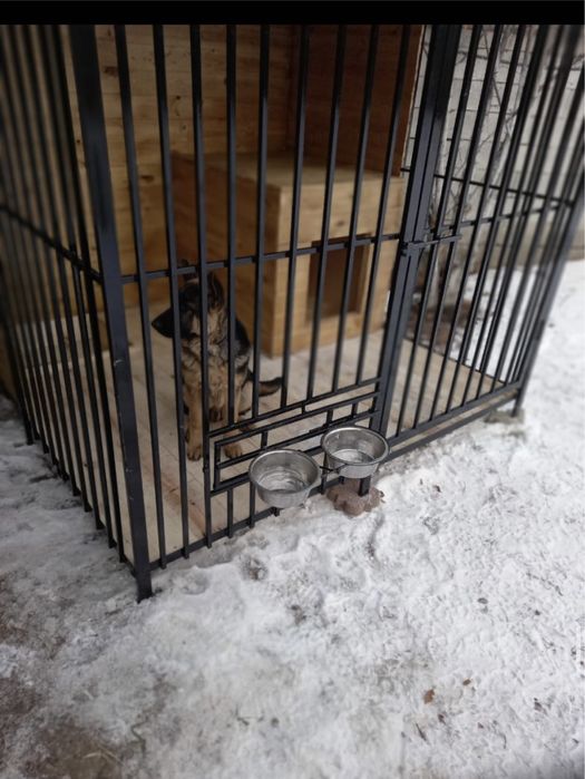 Вальер для собак Алматы Продам вальер разборный Валиер Собак