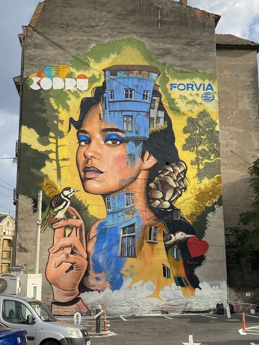 Pictura pe pereti, pictura murala, graffiti