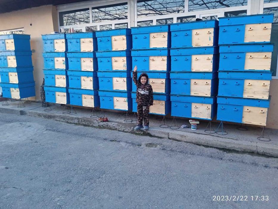 Dildor mushuk uchun Lisby mushuk