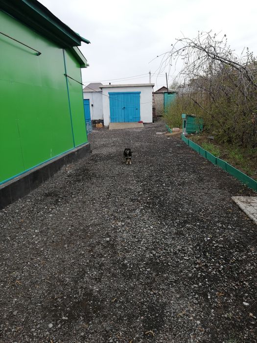 Продам дом в районе телецентра