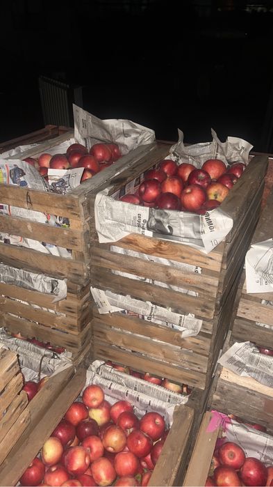 Отборные яблоки (американка, айдаред)