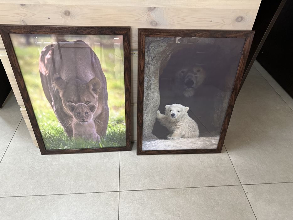 Картины (фото в рамках)