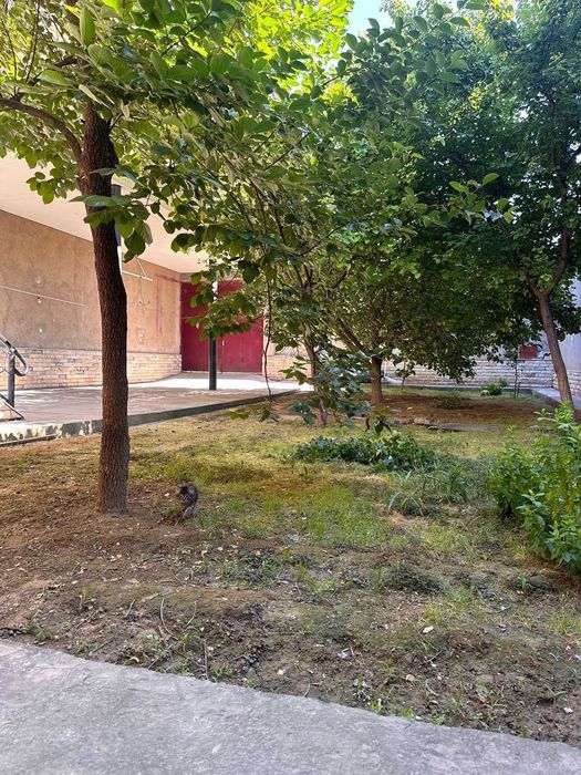 Яшнабадском районе