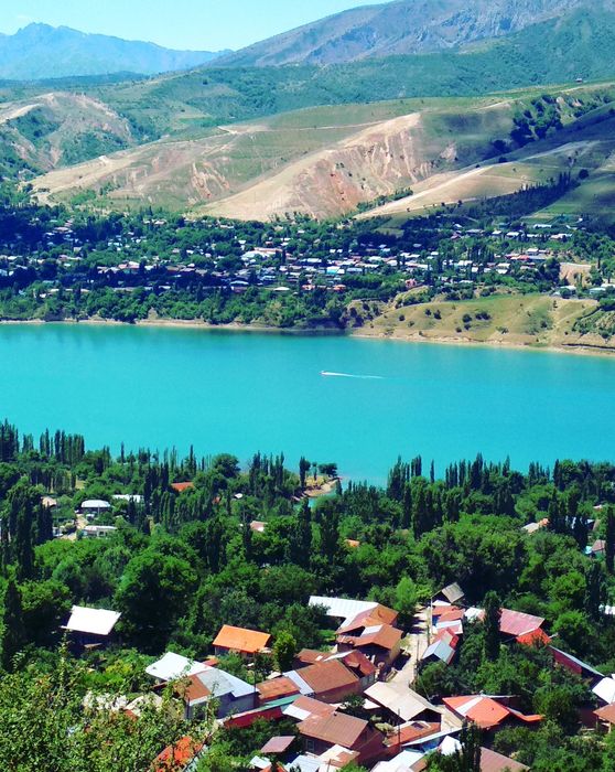 Srochna Yer sotiladi 8 sotix Bo'stonliqda