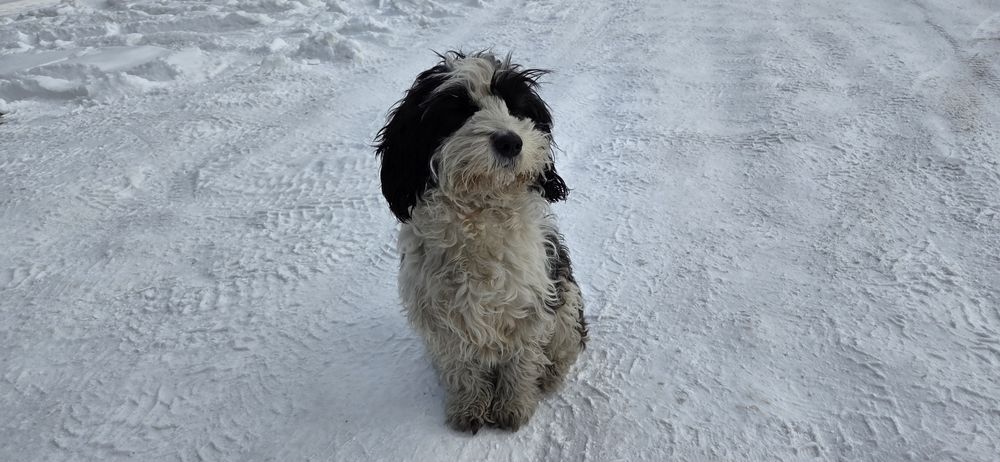 Пристраивется девочка молодая