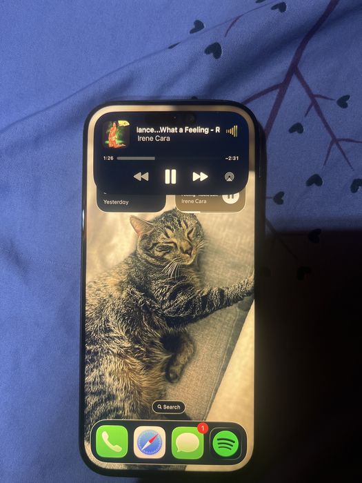 Iphone 17 display schimbat
