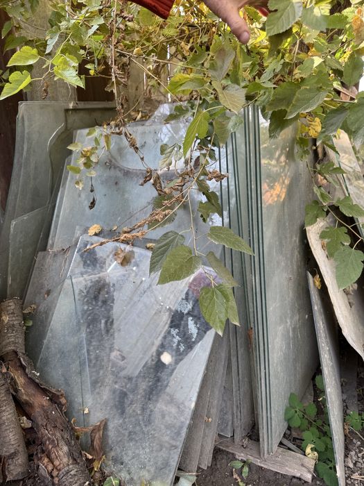 Оконные стекла.