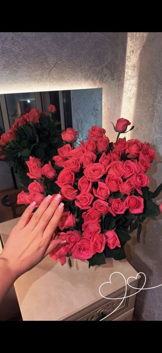 51 розы, свкжие, новые
