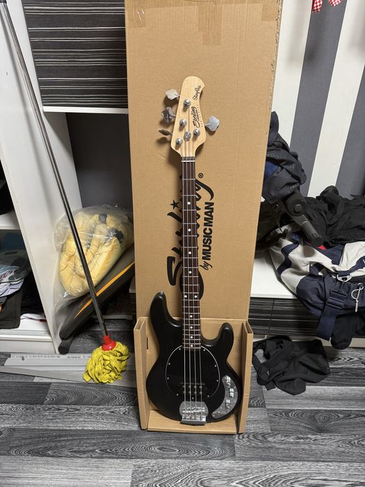 Бас Sterling by music man