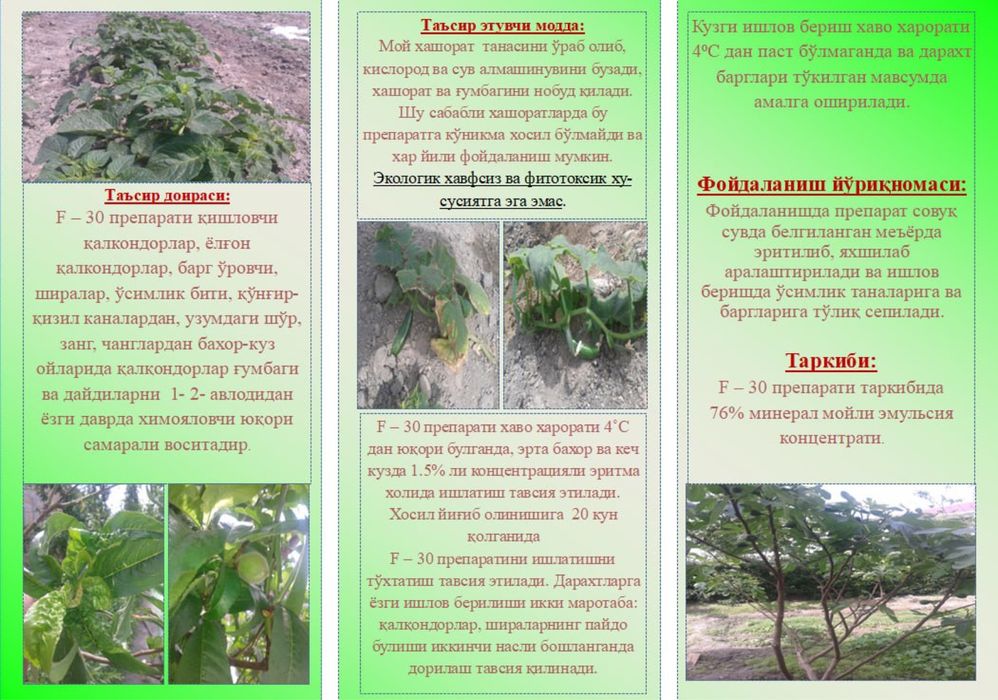 F-30 barcha turdagi oʻsimliklar uchum dori