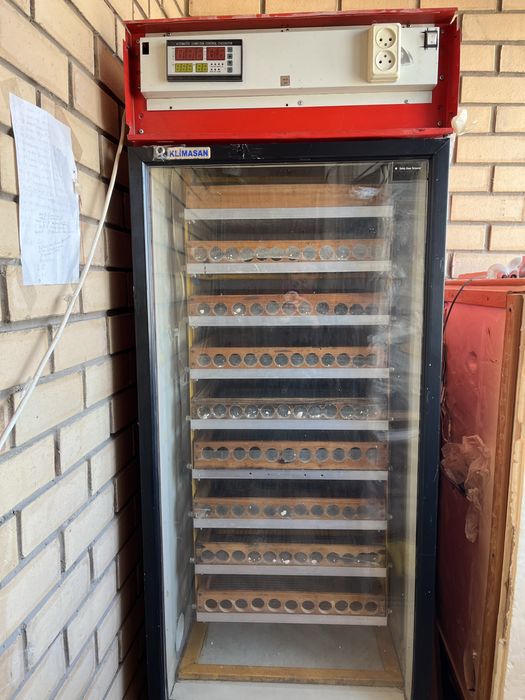 Инкубатор Автомат!