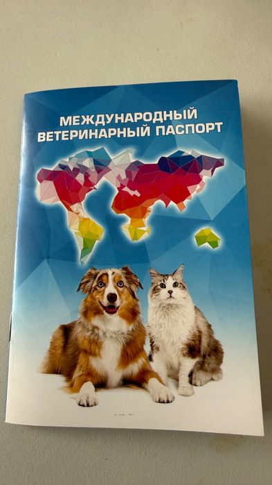 Кошка породы Бенгал