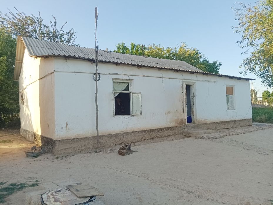 Қишлоқдан иахши дала ховл