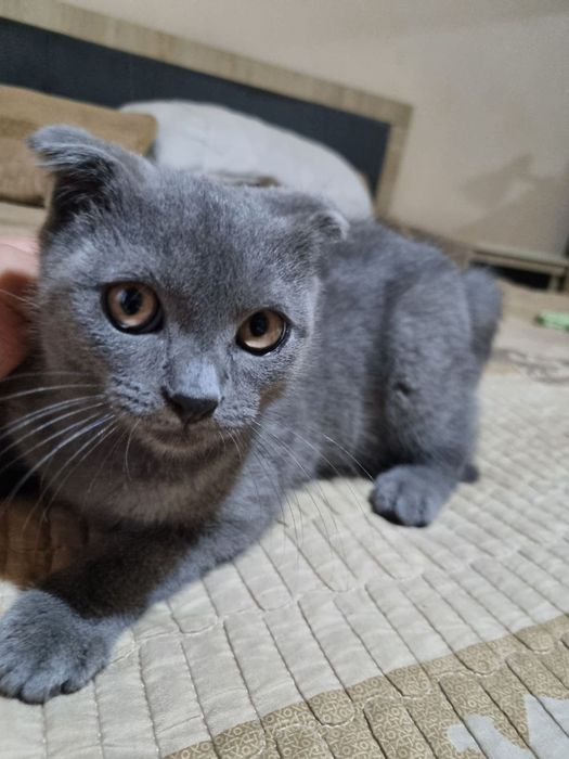 Dushda mast rus jojasi bilan porno jinsiy aloqa