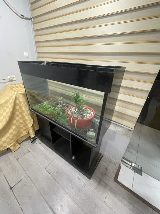 аквариум 300литрли