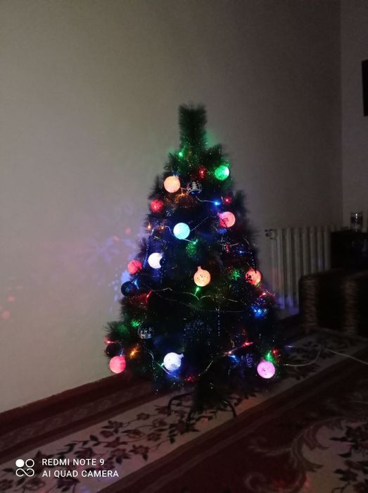 Ёлка Ёршик максимально густая