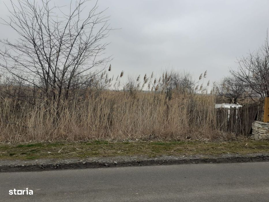 Vand /schimb/ inchiriez teren extravilan sat Parches, comuna Somova