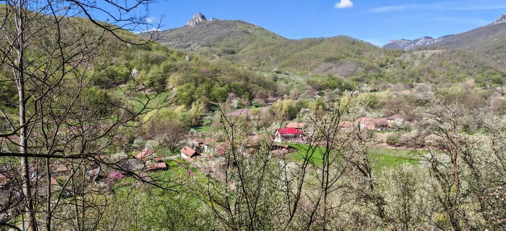 Casa si teren intravilan 3426mp la Poiana Galdei