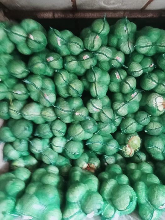 Продаётся Капуста белокачанная