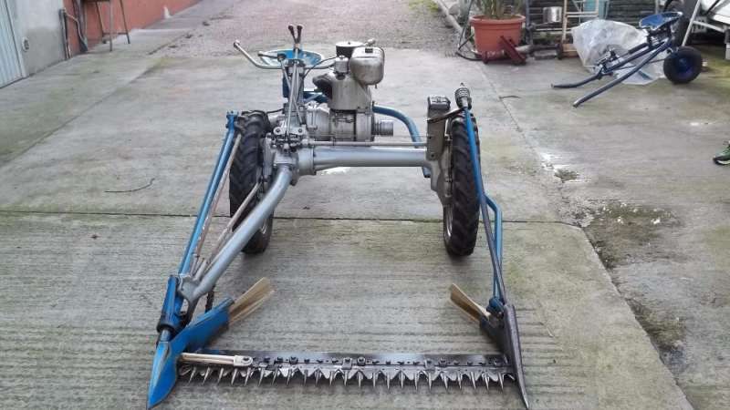 бцс - АКМЕ 1- ITALIA