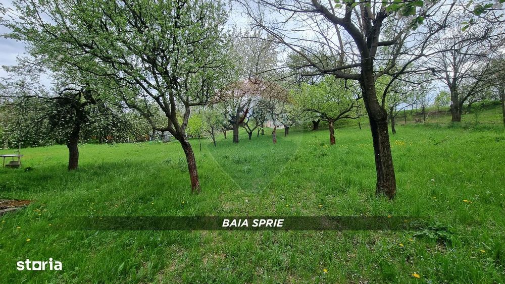 Teren in Baia Sprie de vanzare | Strada Closca
