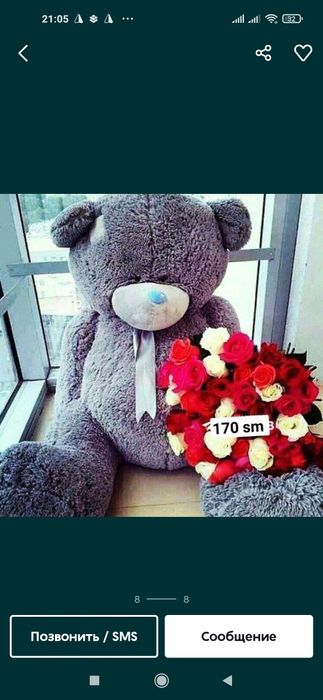 Тедди Teddy Teddi Teddiy по, Оптовым цена Teddy ayig'i original Mishka