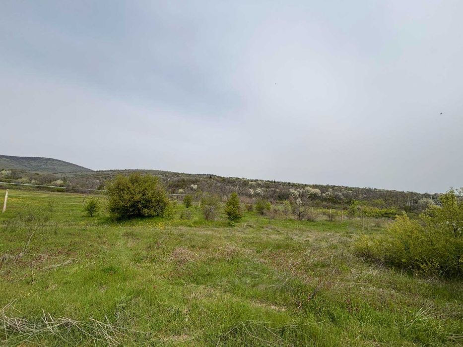 Продава парцел м-Заешка поляна