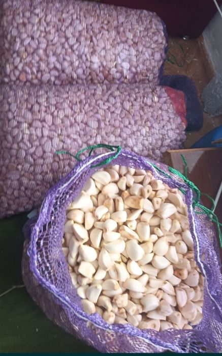 Чеснок очищенный