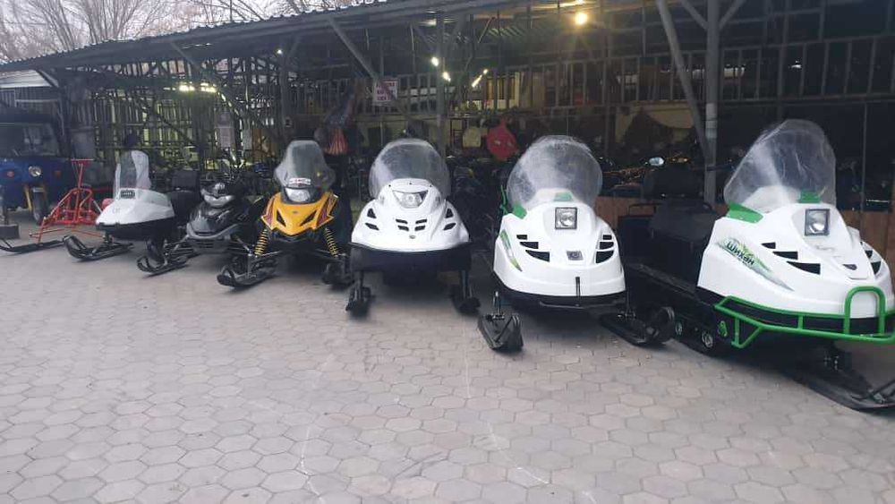 Снегоход PEDA BARYS SM 200