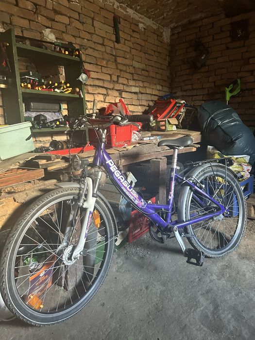 Biciclete copiii