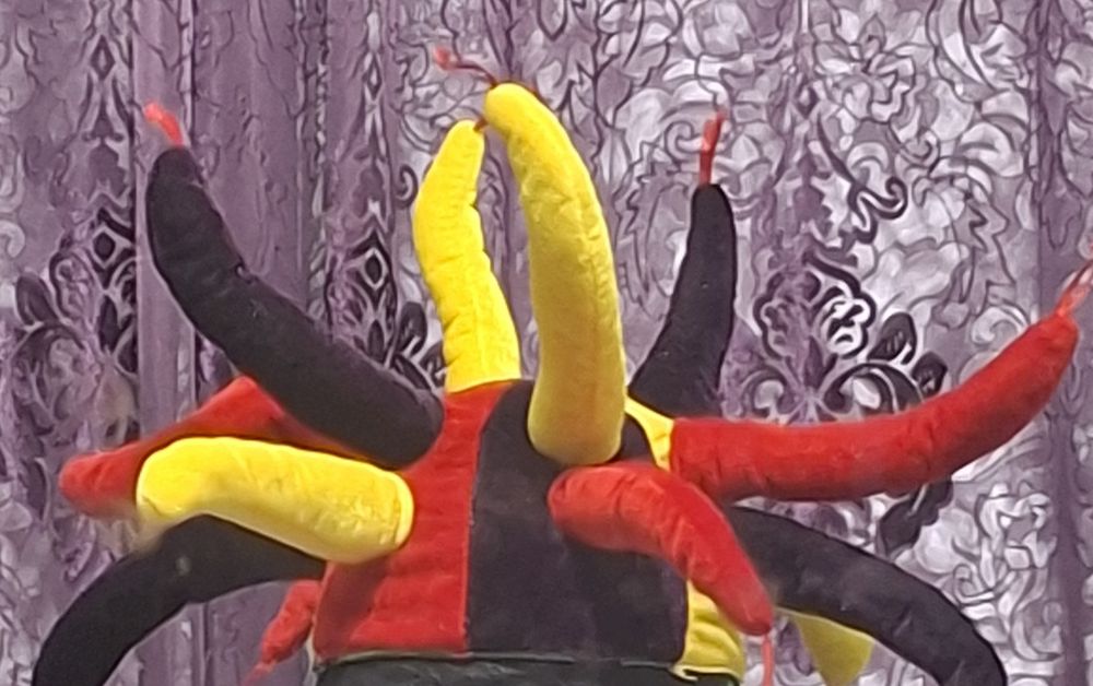 Костюм петуха и шапочка петрушки