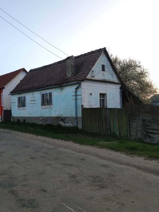 Animale de vanzare