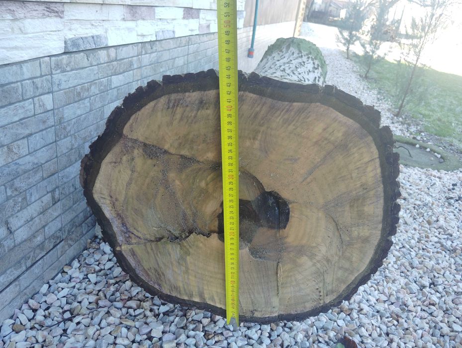 Орехов ствол за продажба