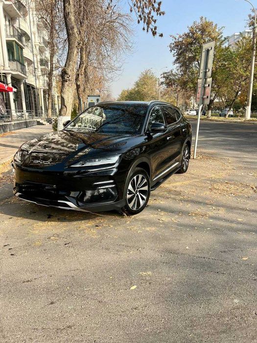 BYD Song Plus EV Champion 2024 — 2