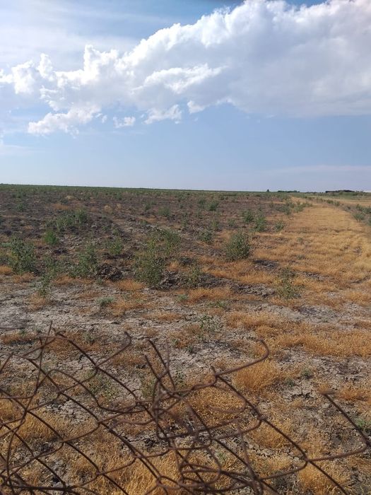 Продаётся Крестьянской Хозяйство