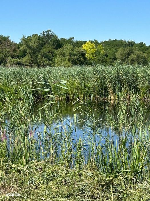 Teren cu deschidere la lac str Orhideelor-conectare imediata la curent