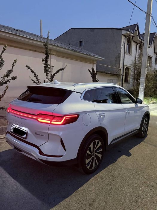 Byd chempion Honor
