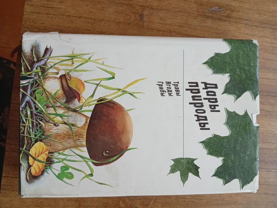 Дары природы травы ягоды грибы