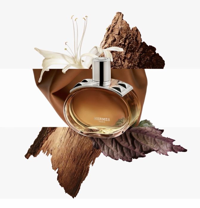 Hermes Barenia intense