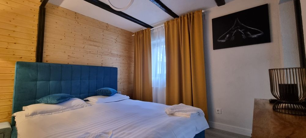 Cabana Busteni Vila Tiny Dream House
