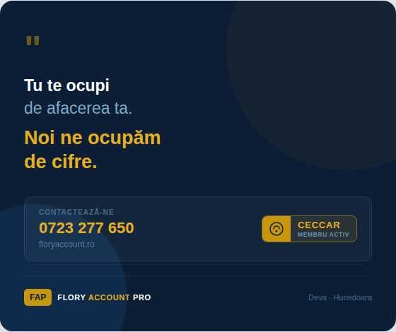 Servicii profesionale financiar contabile