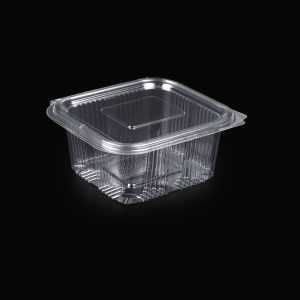 Caserole neperforate cu capac