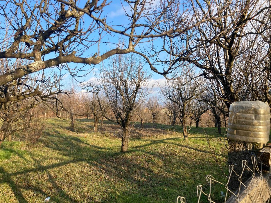 Vand teren intravilan Ciocanai Mosoaia
