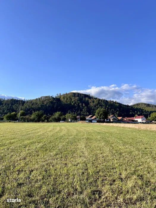 Teren 650 mp Zarnesti